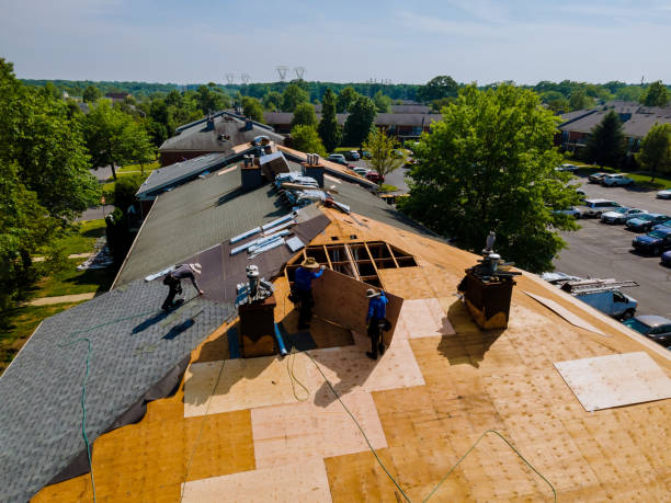 Trusted Roof Replacement service in Asheville, NC - Brentwood Metal Roofing
